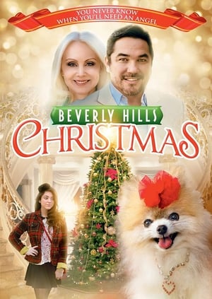 Beverly Hills Christmas poster 3