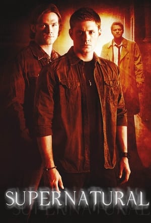Supernatural, Season 5 poster 2