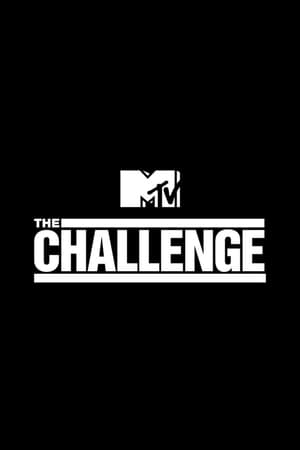 The Challenge: All Stars, Season 2 poster 1