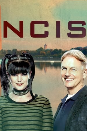 NCIS, Season 4 poster 3