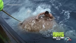 Deadliest Catch, Season 9 - Man Overboard image