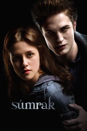 Twilight poster 2