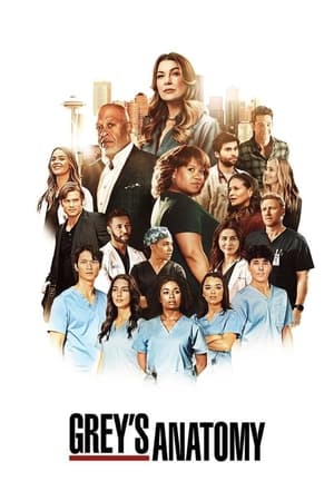Grey's Anatomy, Season 7 poster 1
