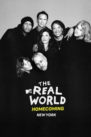 The Real World: San Diego poster 1