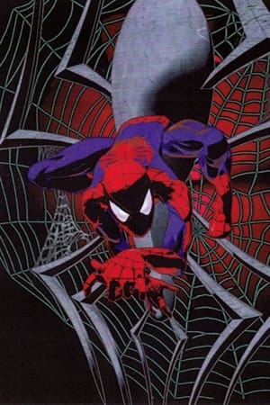 Spider-Man: The Animated Series, Season 2 poster 1