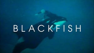 Blackfish image 3