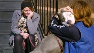 Pit Bulls and Parolees, Season 15 - Everything for Emma image