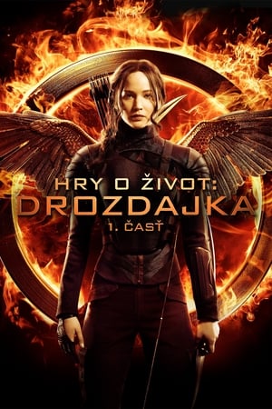 The Hunger Games: Mockingjay - Part 1 poster 2