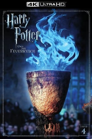Harry Potter and the Goblet of Fire poster 4