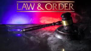 Law & Order, Season 17 image 1