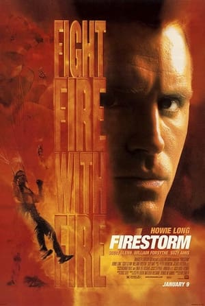 Firestorm poster 3