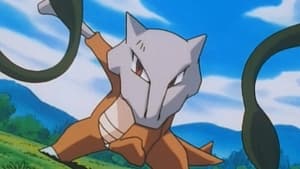 Pokémon the Series: XY Kalos Quest, Vol. 1 - Bad to the Bone image