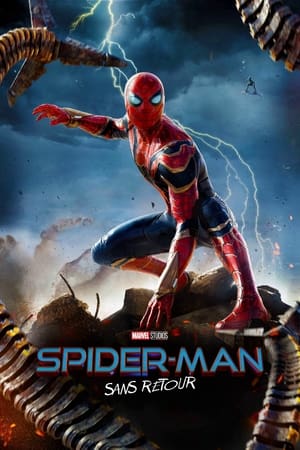 Spider-Man: No Way Home poster 1