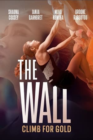 The Wall - Climb for Gold poster 4