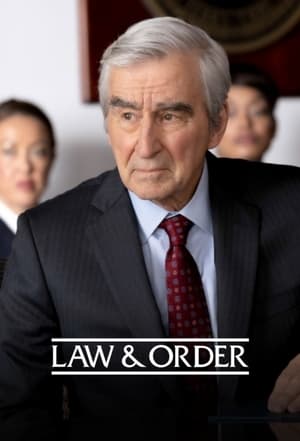 Law & Order, Season 23 poster 1