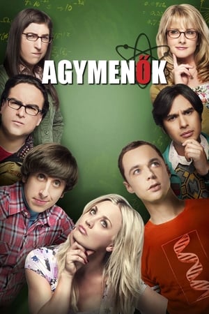 The Big Bang Theory, Season 4 poster 1