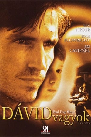 I Am David poster 2