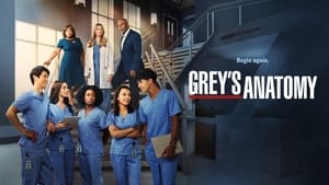 Grey's Anatomy, Season 10 image 3