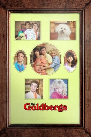 The Goldbergs, Season 1 poster 1