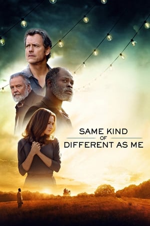 Same Kind of Different As Me poster 3