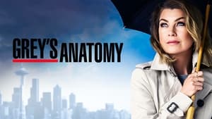 Grey's Anatomy, Season 18 image 2