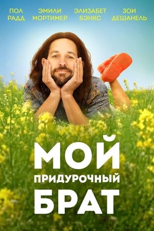Our Idiot Brother poster 3