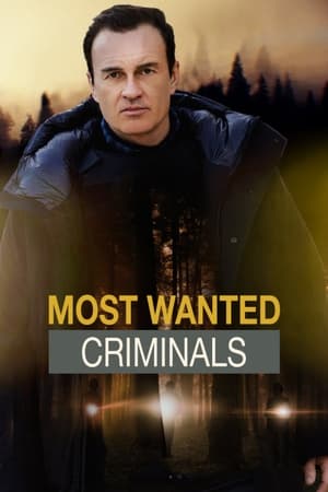 FBI: Most Wanted, Season 1 poster 1