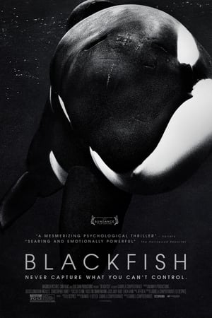 Blackfish poster 3