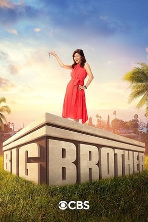 Big Brother, Season 24 poster 0