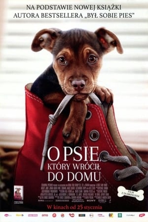 A Dog's Way Home poster 2