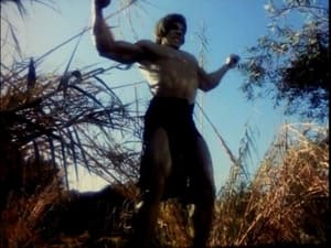The Incredible Hulk, Season 4 - Dark Side image