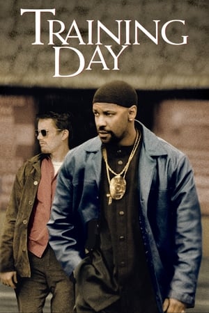 Training Day poster 4