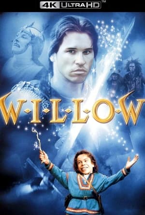 Willow poster 2