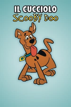 A Pup Named Scooby-Doo, Season 1 poster 1