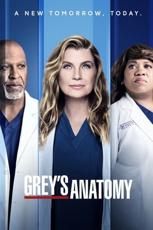 Grey's Anatomy, Season 8 poster 1
