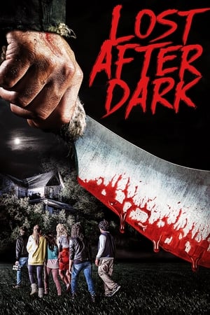 Lost After Dark poster 4