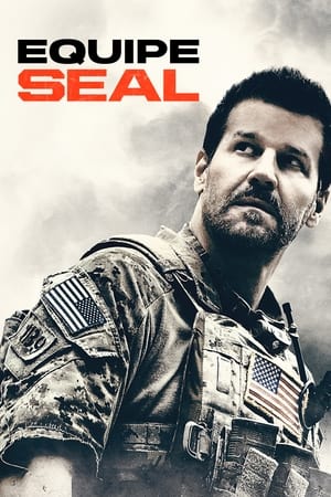 SEAL Team, Season 4 poster 0
