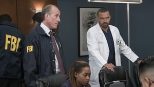 Grey's Anatomy, Season 14 - Out of Nowhere image