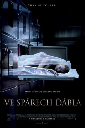 Grace: The Possession poster 2
