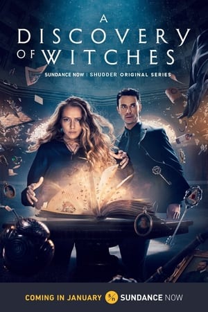 A Discovery of Witches, Season 3 poster 3