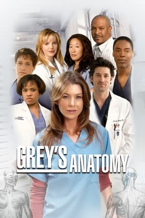 Grey's Anatomy, Season 7 poster 2