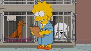 The Simpsons, Season 27 - Lisa the Veterinarian image