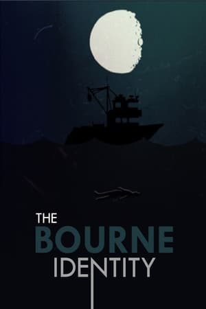 The Bourne Identity poster 2
