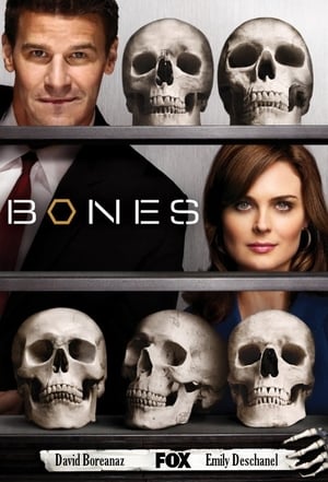 Bones, Season 4 poster 1