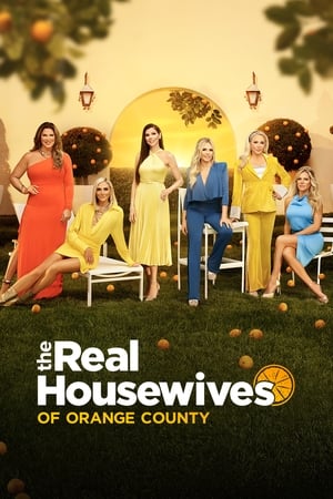 The Real Housewives of Orange County, Season 4 poster 3
