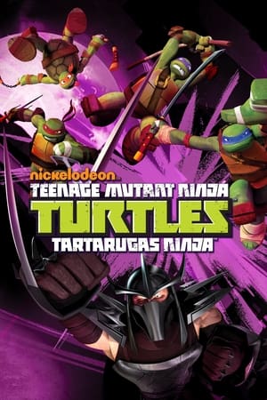 Teenage Mutant Ninja Turtles, Vol. 3 poster 1