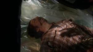 NCIS, Season 6 - Murder 2.0 image