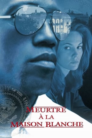 Murder At 1600 poster 3