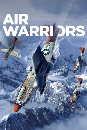 Air Warriors, Season 10 poster 1