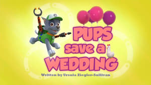 PAW Patrol, Sea Patrol, Pt. 2 - Pups Save a Wedding image